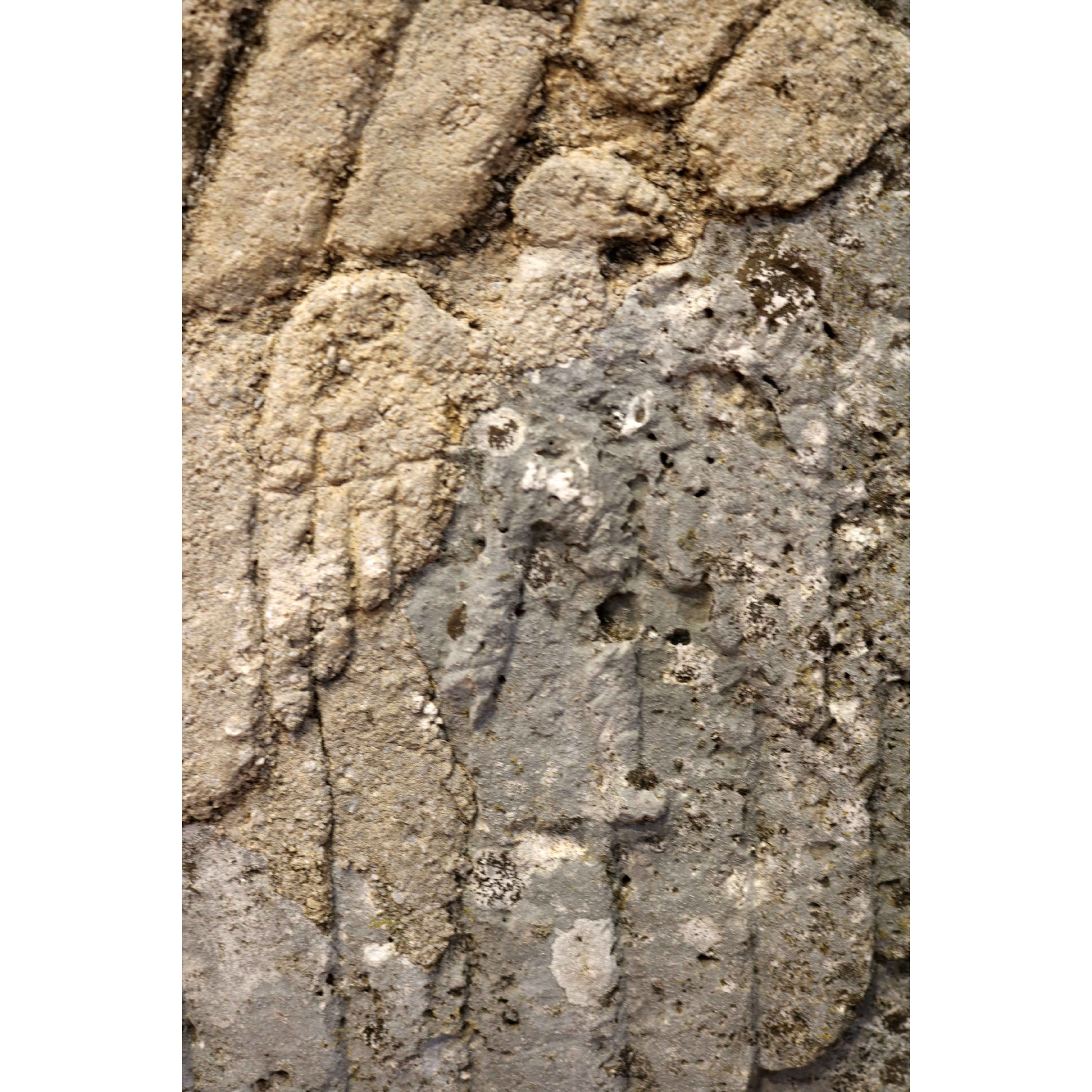 Ancient coat of arms in Travertine. - 1